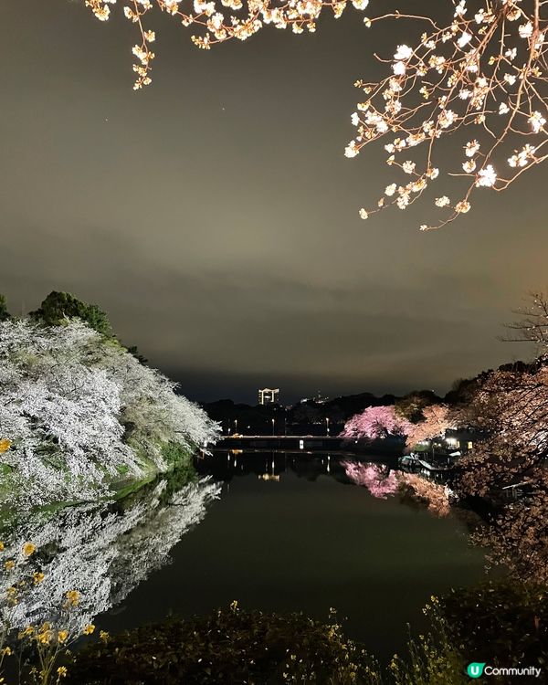 真正體會迷人醉景