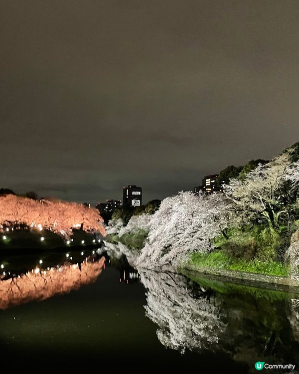 真正體會迷人醉景