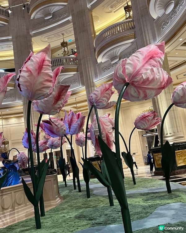 澳門全新-鬱金香藝術裝置