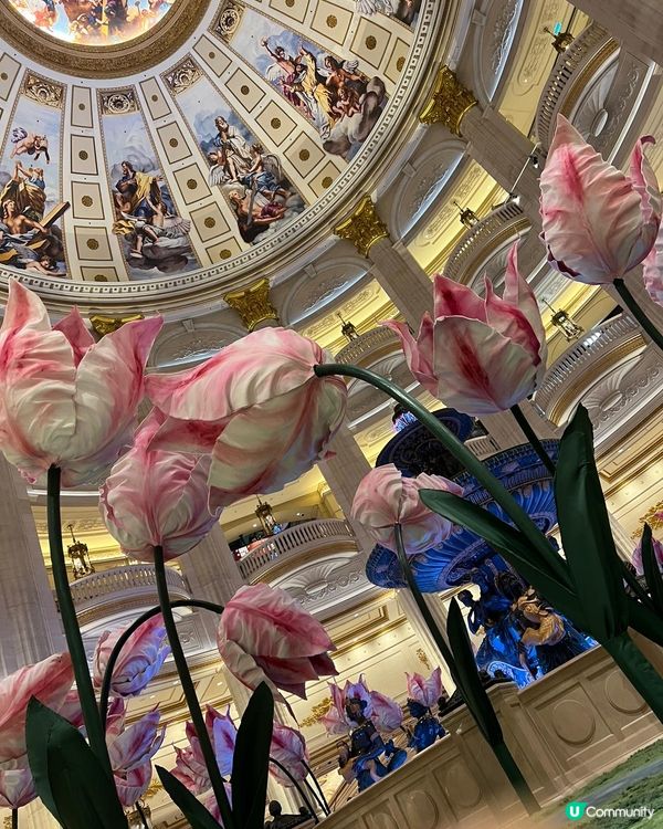 澳門全新-鬱金香藝術裝置