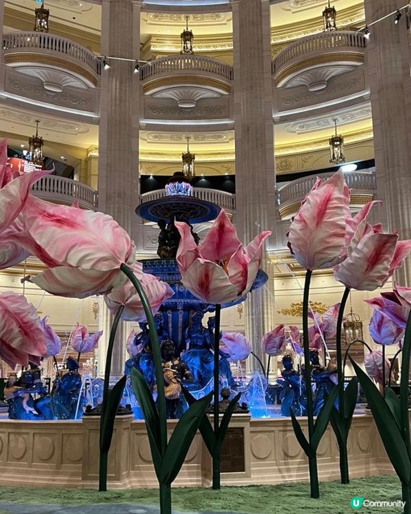 澳門全新-鬱金香藝術裝置