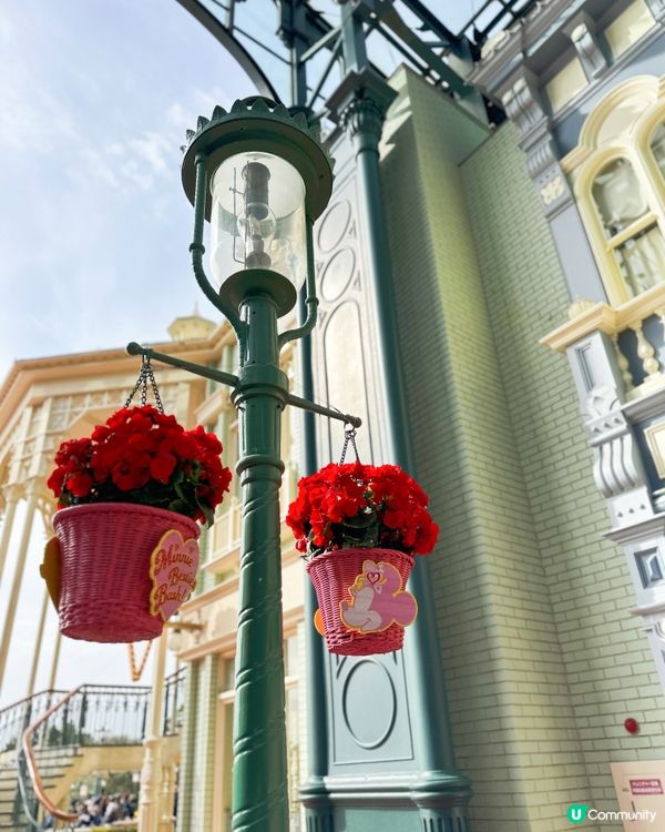 🇯🇵Tokyo, Japan Trip