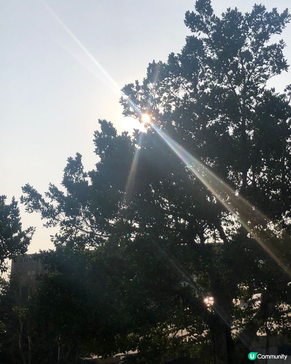 零碳天地@愛地球、愛皮膚😎