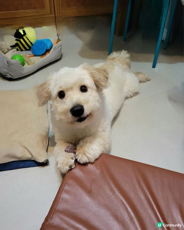 笑一個🙂