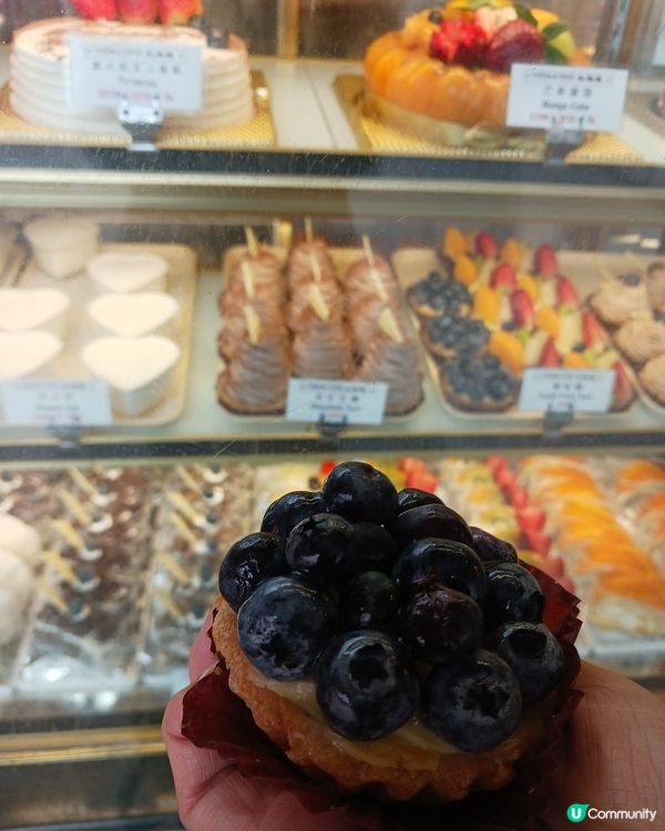 藍莓撻，藍莓多多，開心笑呵呵！