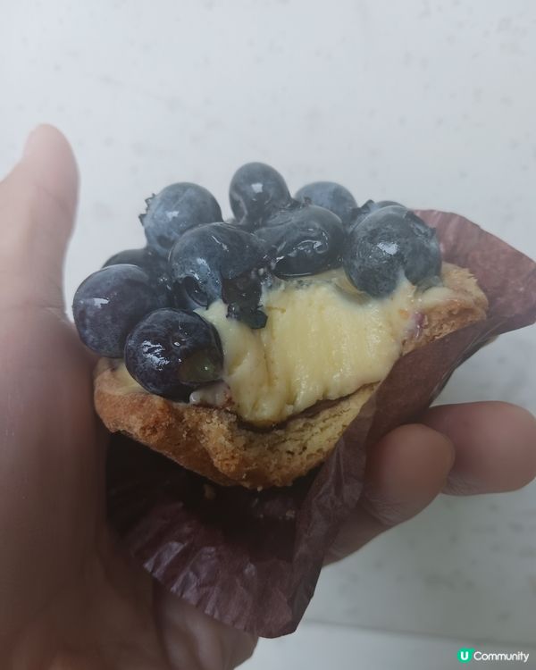 藍莓撻，藍莓多多，開心笑呵呵！