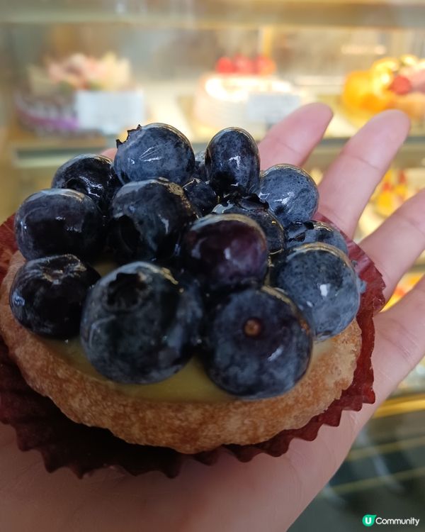 藍莓撻，藍莓多多，開心笑呵呵！