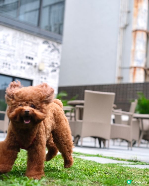 超抵食酒店afternoon tea set 