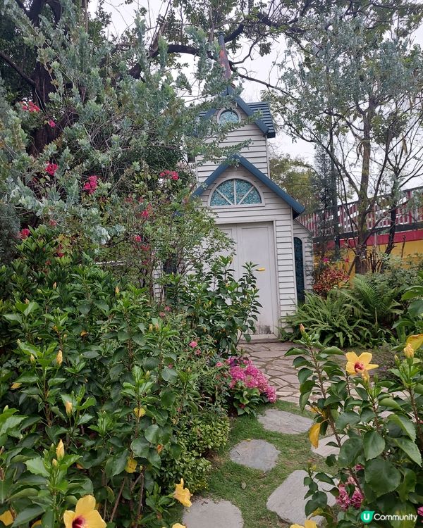 繡球花@荔枝角公園