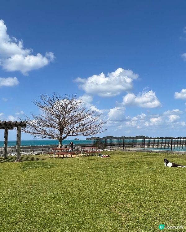 沖繩國頭村美食靚景餐廳