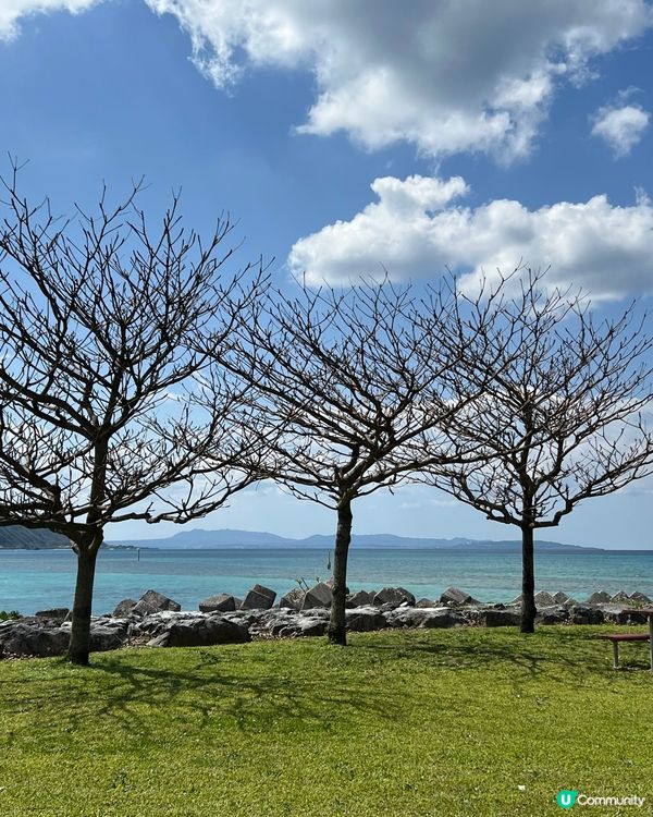 沖繩國頭村美食靚景餐廳