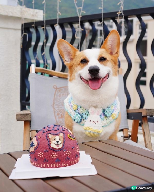 食物都幾唔錯👍🏻野飲超好飲！ 係一間幾高質既pet fdly...