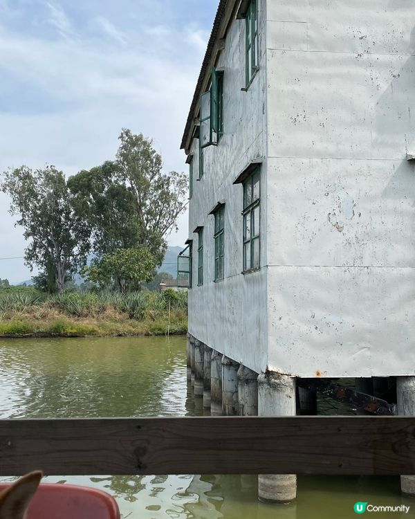 南生圍🌾輕鬆同家人散步半日遊🩷🩷