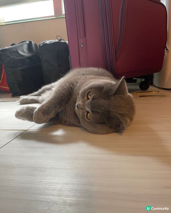 PolarSpring🇫🇮芬蘭天然泉水