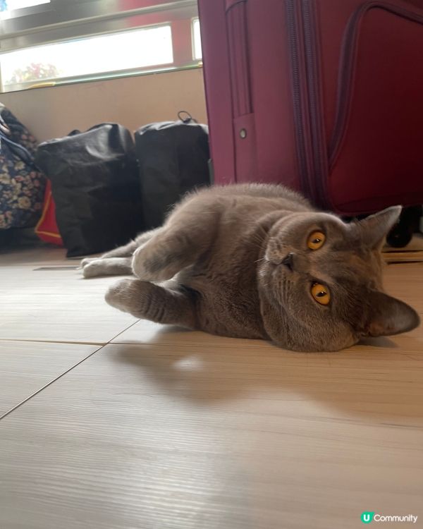 PolarSpring🇫🇮芬蘭天然泉水