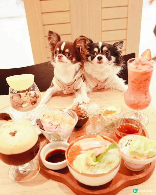 Shatin Day Trip Part 2