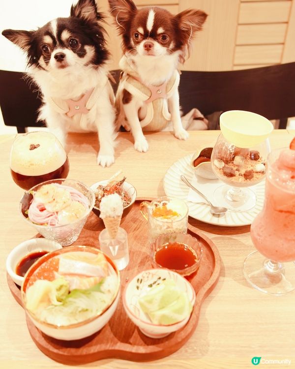 Shatin Day Trip Part 2