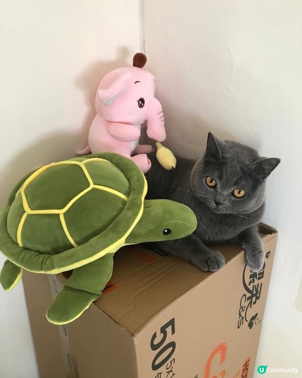 PolarSpring🇫🇮芬蘭天然泉水