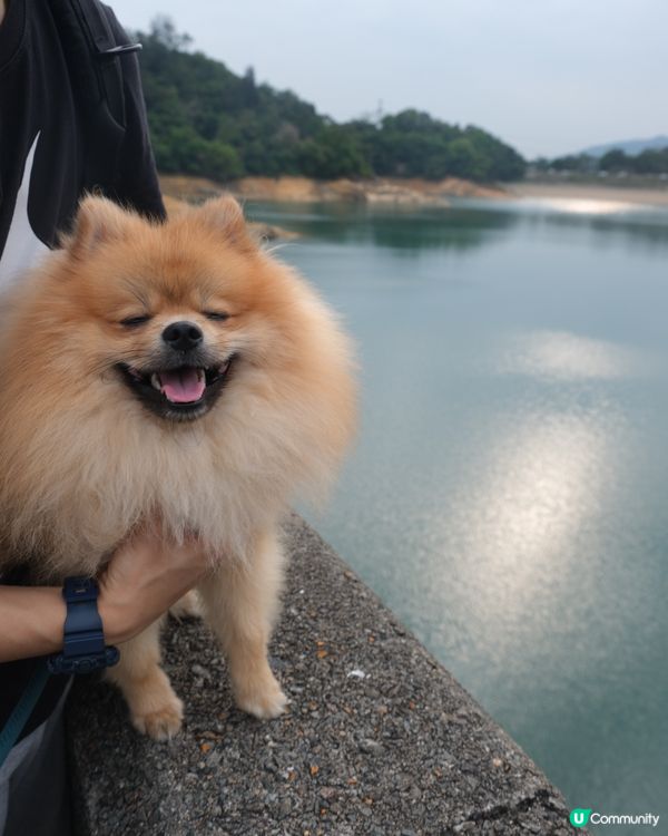 城門水塘一日遊
