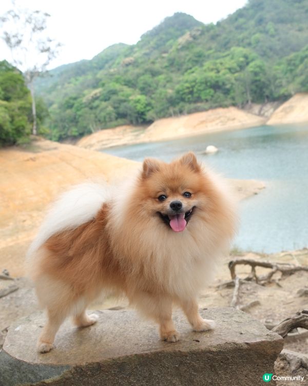 城門水塘一日遊