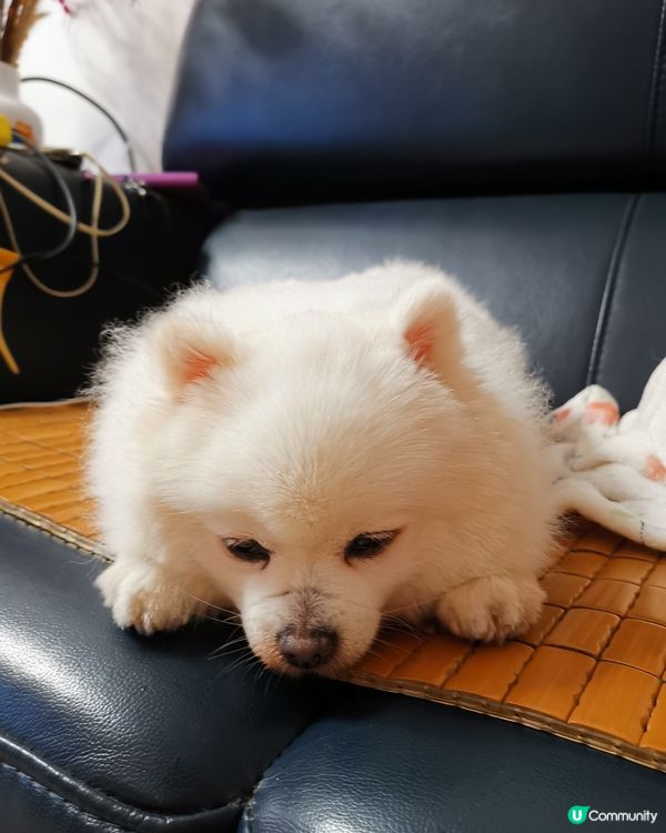 連睡覺都這麼可愛小朋友