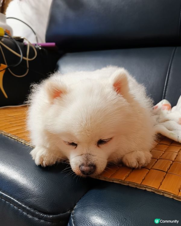 連睡覺都這麼可愛小朋友