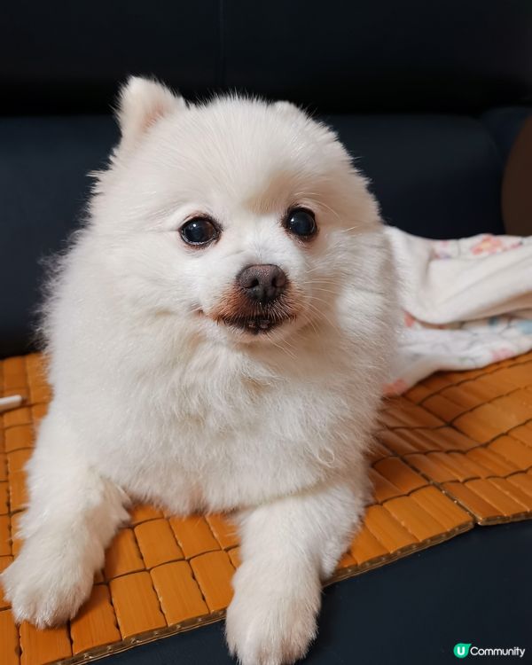 連睡覺都這麼可愛小朋友