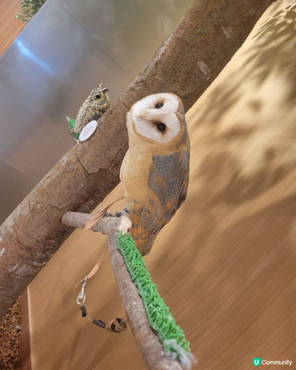 新開商場lalaport堺