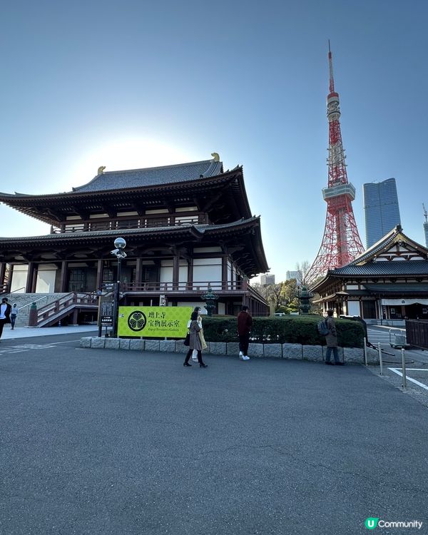 東京鐵塔🗼高又靚又正又光