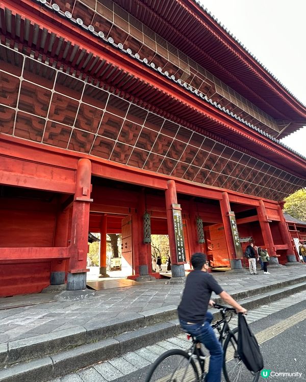 東京鐵塔🗼高又靚又正又光