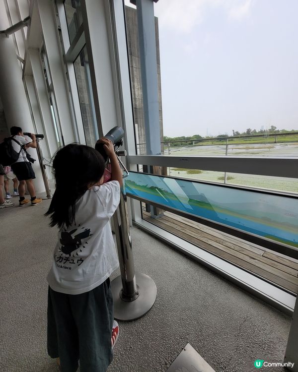 濕地公園。男女老幼都岩去💦🍀