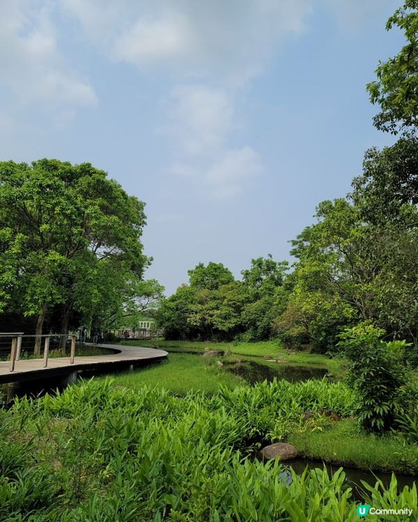 濕地公園。男女老幼都岩去💦🍀
