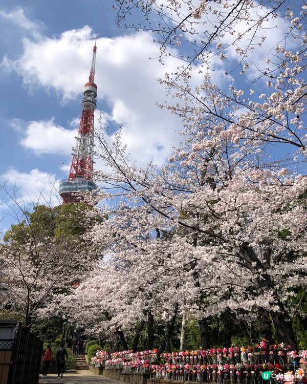 東京鐵塔、橫濱高達、富士山