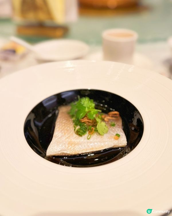 中菜食唔少，喺灣仔會展食都真係第一次，呢間有米芝蓮推介嘅粵菜...