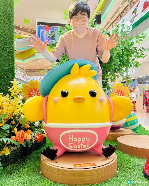 🐣油塘大本型🐥今次整咗咁多樂天雞仔。如果可以無憂無慮咁去露營...