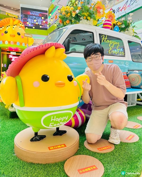 🐣油塘大本型🐥今次整咗咁多樂天雞仔。如果可以無憂無慮咁去露營...