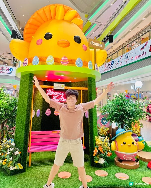 🐣油塘大本型🐥今次整咗咁多樂天雞仔。如果可以無憂無慮咁去露營...