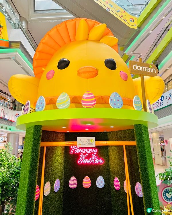 🐣油塘大本型🐥今次整咗咁多樂天雞仔。如果可以無憂無慮咁去露營...