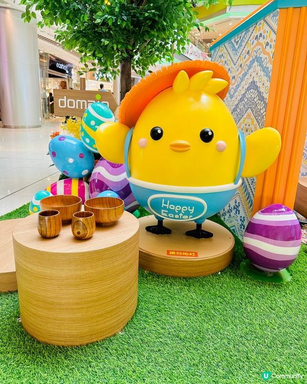 🐣油塘大本型🐥今次整咗咁多樂天雞仔。如果可以無憂無慮咁去露營...