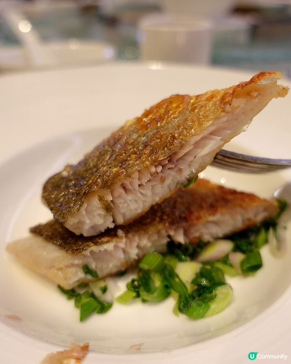 ⭐品味米芝蓮高級粵菜🍴