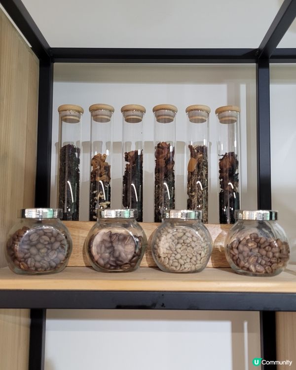 第一次上咖啡試飲會！