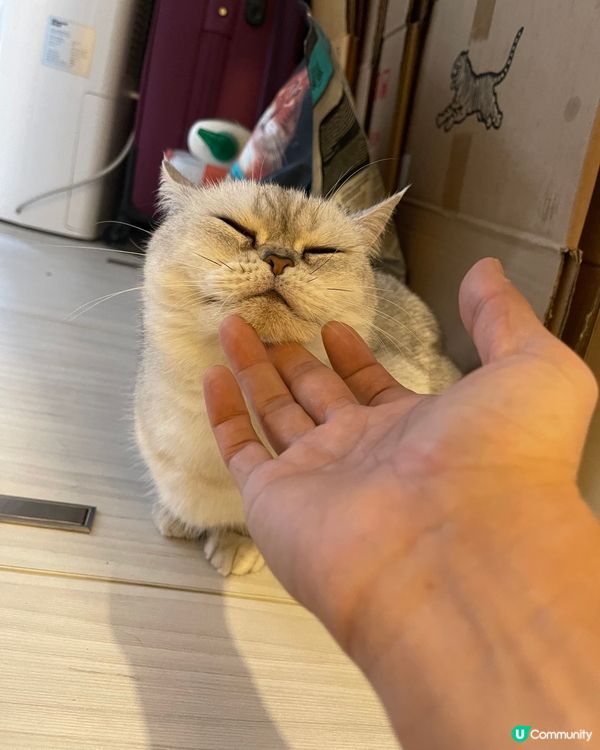 PolarSpring 🇫🇮芬蘭天然泉水