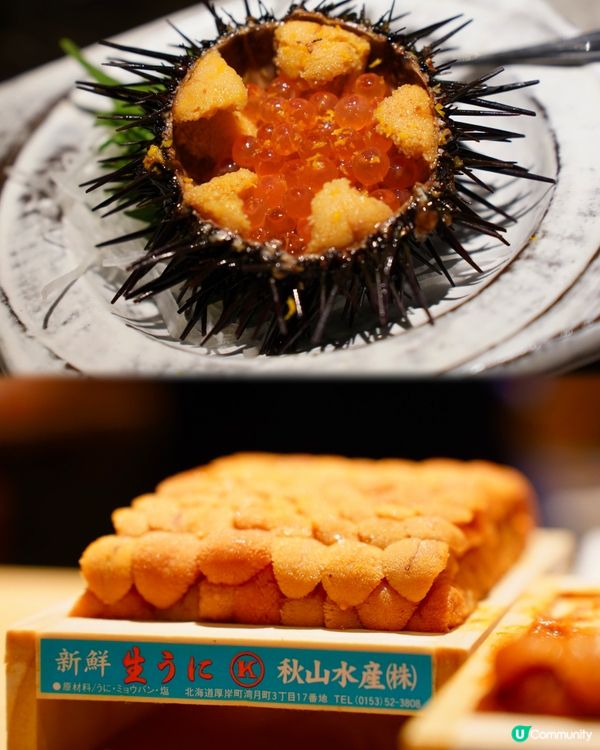 成板海膽比你食😱