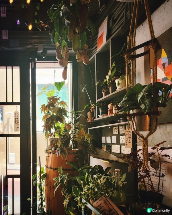 健康法式周末𝕊𝔼𝕋 𝕃𝕌ℕℂℍ💗