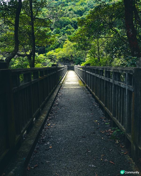 猛鬼橋