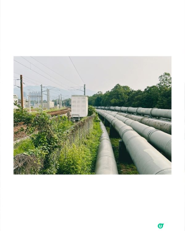 上水｜打卡熱點河上鄉