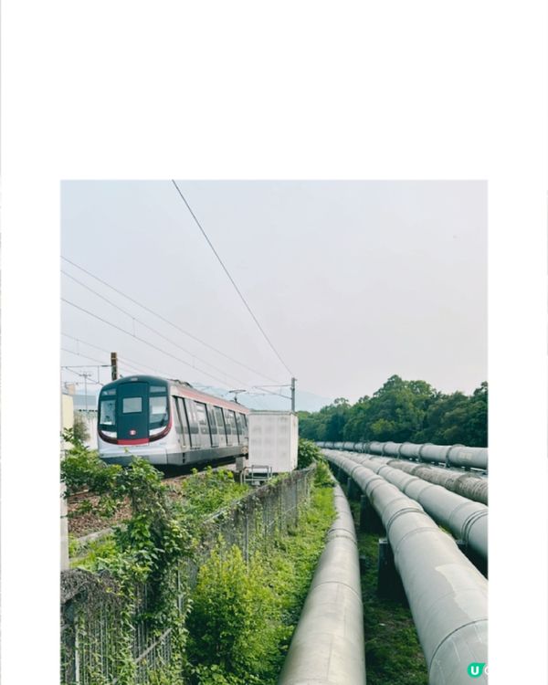 上水｜打卡熱點河上鄉