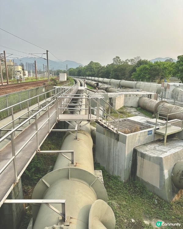 上水｜打卡熱點河上鄉