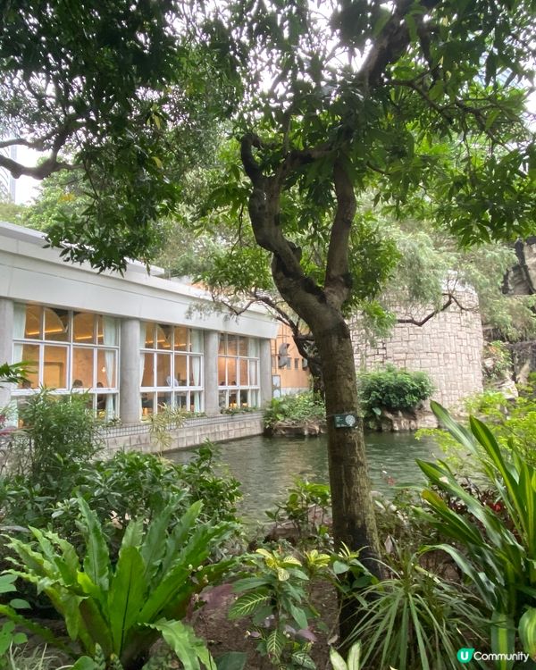 香港公園湖畔餐廳🍴