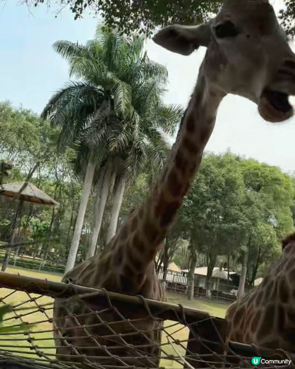 南寧市南寧動物園